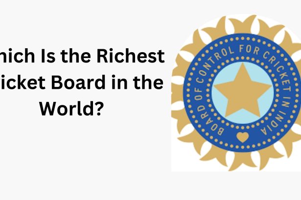 Which Is the Richest Cricket Board in the World?